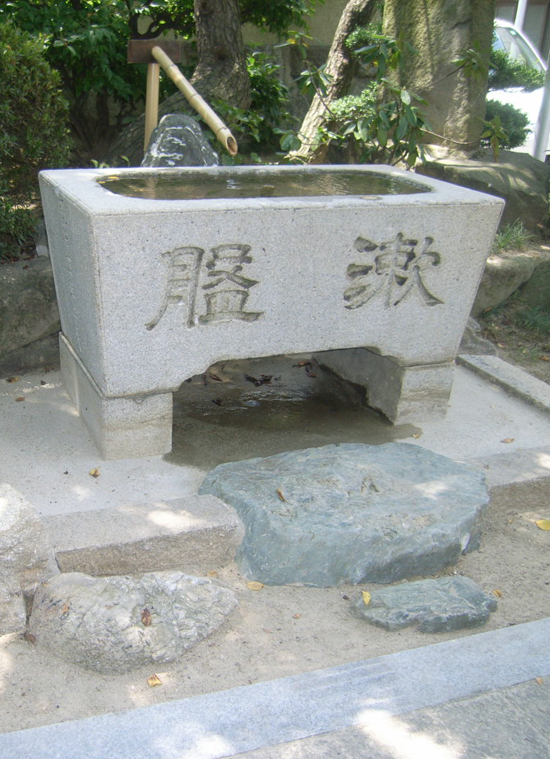 主庭