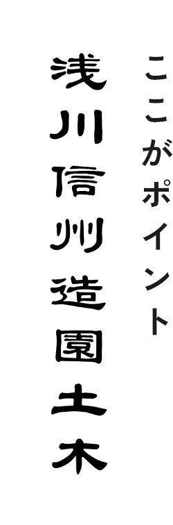 ポイント
