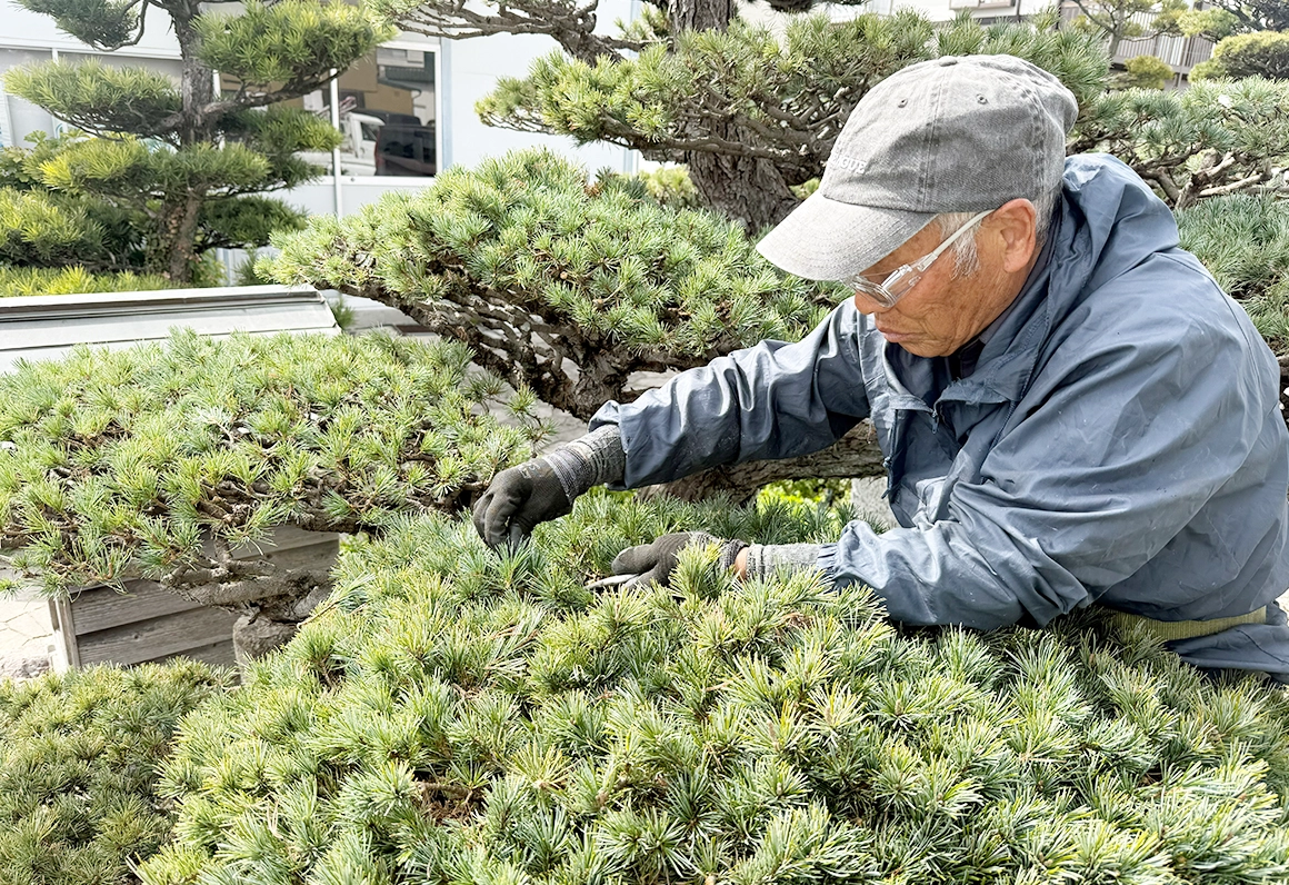 お庭のリフォーム